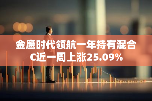 金鹰时代领航一年持有混合C近一周上涨25.09%