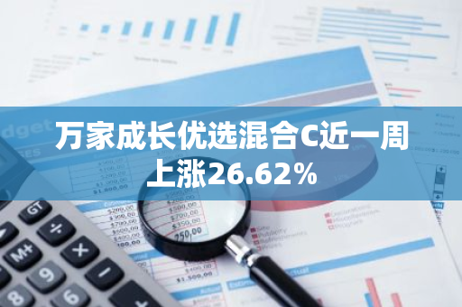 万家成长优选混合C近一周上涨26.62%