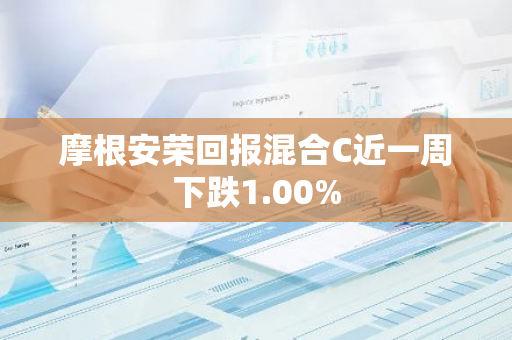 摩根安荣回报混合C近一周下跌1.00%