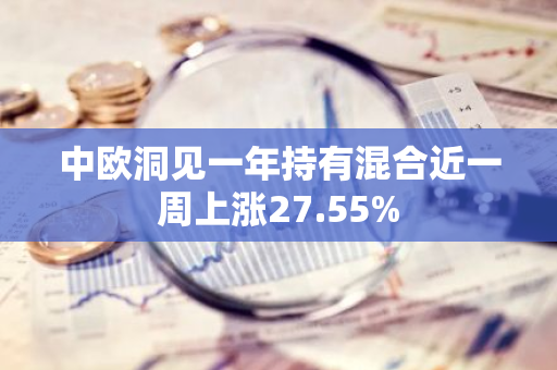 中欧洞见一年持有混合近一周上涨27.55%