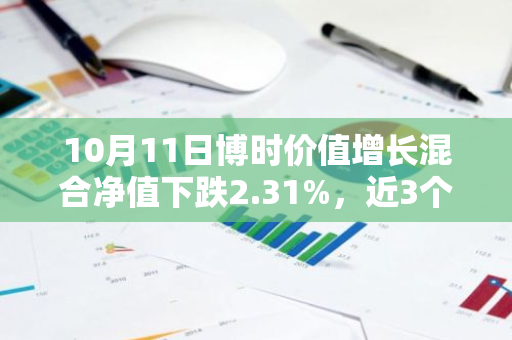 10月11日博时价值增长混合净值下跌2.31%，近3个月累计上涨3.68%