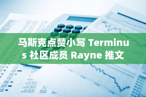 马斯克点赞小写 Terminus 社区成员 Rayne 推文