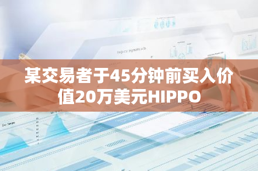 某交易者于45分钟前买入价值20万美元HIPPO