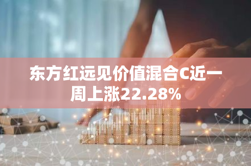东方红远见价值混合C近一周上涨22.28%