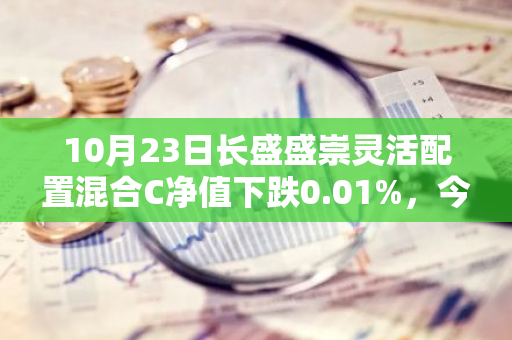 10月23日长盛盛崇灵活配置混合C净值下跌0.01%，今年来累计下跌3.27%