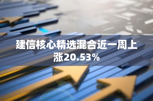 建信核心精选混合近一周上涨20.53%