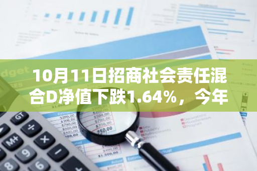 10月11日招商社会责任混合D净值下跌1.64%，今年来累计上涨5.52%