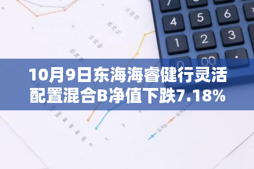 10月9日东海海睿健行灵活配置混合B净值下跌7.18%，今年来累计下跌4.21%