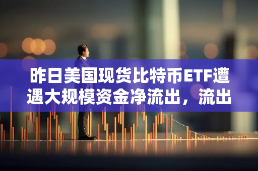 昨日美国现货比特币ETF遭遇大规模资金净流出，流出金额高达8110万美元