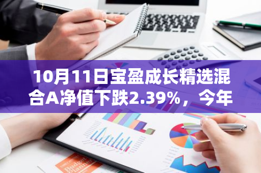 10月11日宝盈成长精选混合A净值下跌2.39%，今年来累计上涨2.23%