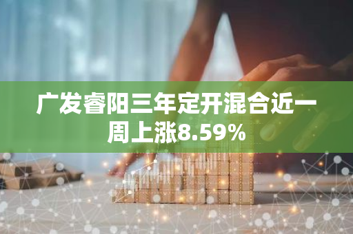 广发睿阳三年定开混合近一周上涨8.59%