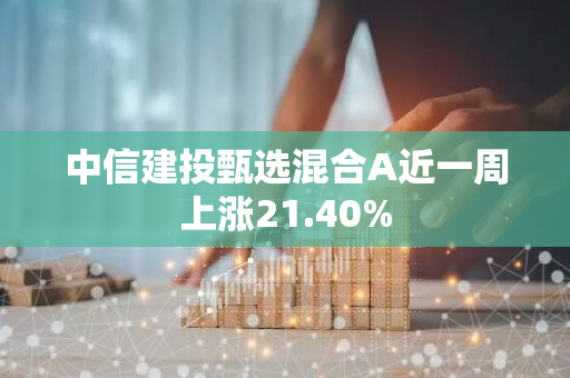 中信建投甄选混合A近一周上涨21.40%