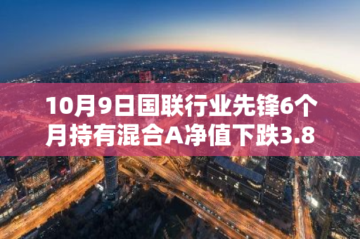 10月9日国联行业先锋6个月持有混合A净值下跌3.82%，今年来累计下跌2.07%