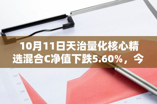 10月11日天治量化核心精选混合C净值下跌5.60%，今年来累计下跌28.8%