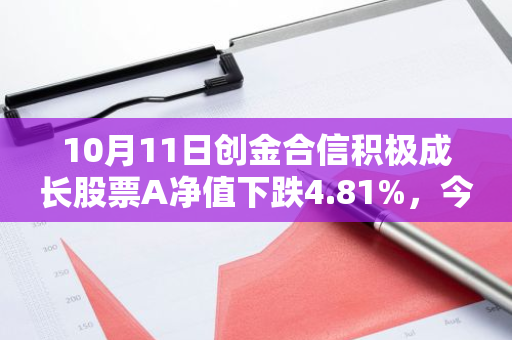 10月11日创金合信积极成长股票A净值下跌4.81%，今年来累计下跌4.56%