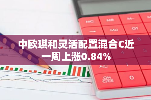 中欧琪和灵活配置混合C近一周上涨0.84%
