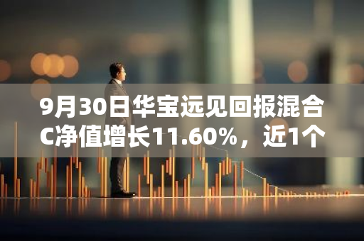 9月30日华宝远见回报混合C净值增长11.60%，近1个月累计上涨27.01%