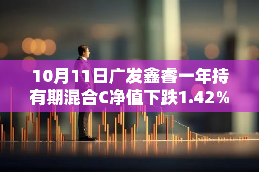 10月11日广发鑫睿一年持有期混合C净值下跌1.42%，今年来累计下跌6.0%