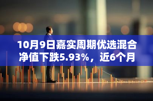 10月9日嘉实周期优选混合净值下跌5.93%，近6个月累计上涨6.43%