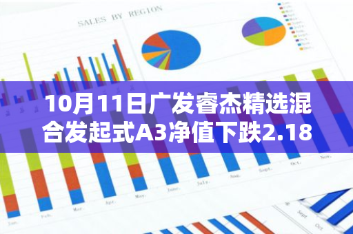 10月11日广发睿杰精选混合发起式A3净值下跌2.18%，今年来累计上涨3.01%