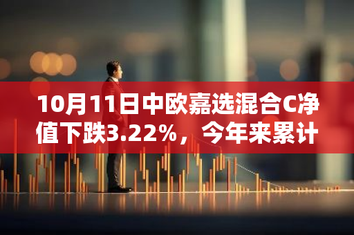 10月11日中欧嘉选混合C净值下跌3.22%，今年来累计下跌10.16%