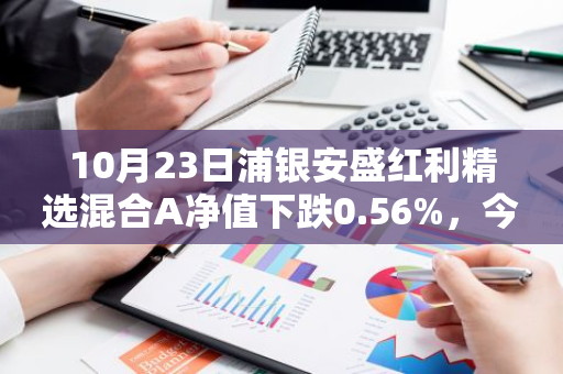 10月23日浦银安盛红利精选混合A净值下跌0.56%，今年来累计下跌13.82%