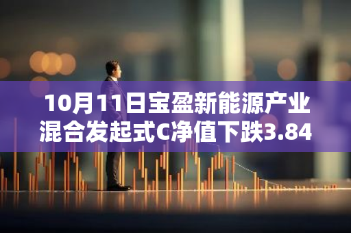 10月11日宝盈新能源产业混合发起式C净值下跌3.84%，今年来累计下跌14.25%