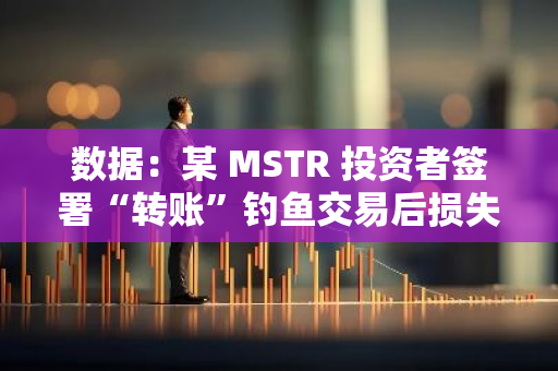 数据：某 MSTR 投资者签署“转账”钓鱼交易后损失超 30 万美元