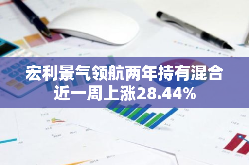 宏利景气领航两年持有混合近一周上涨28.44%