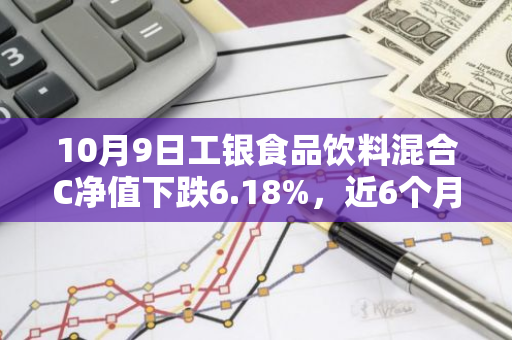 10月9日工银食品饮料混合C净值下跌6.18%，近6个月累计上涨0.73%