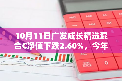 10月11日广发成长精选混合C净值下跌2.60%，今年来累计上涨2.38%