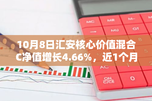 10月8日汇安核心价值混合C净值增长4.66%，近1个月累计上涨23.74%