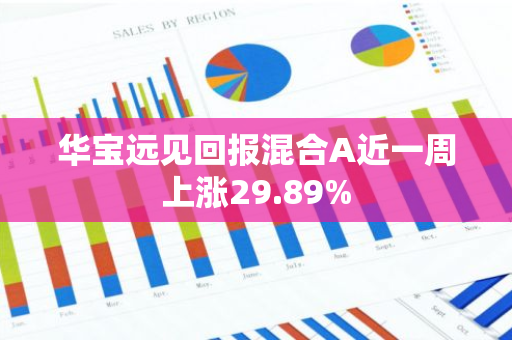 华宝远见回报混合A近一周上涨29.89%