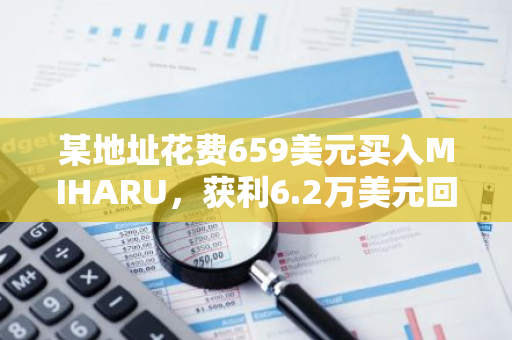 某地址花费659美元买入MIHARU，获利6.2万美元回报率达93倍