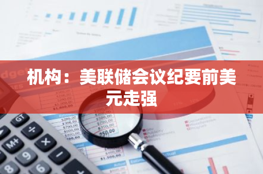 机构：美联储会议纪要前美元走强