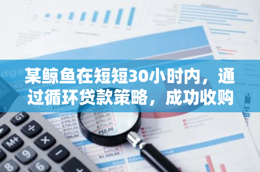 某鲸鱼在短短30小时内，通过循环贷款策略，成功收购了45377枚AAVE代币