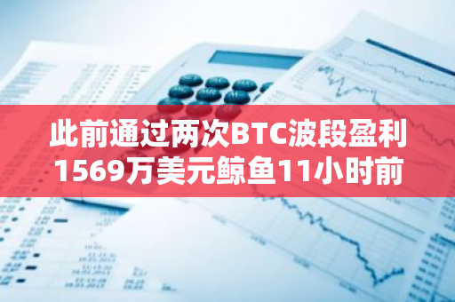 此前通过两次BTC波段盈利1569万美元鲸鱼11小时前再度买入553.3枚WBTC