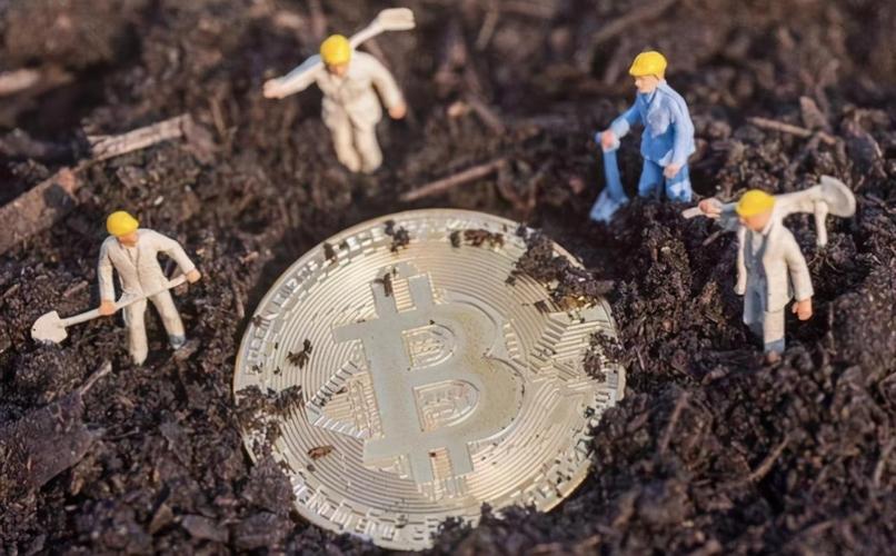 挖比特币需要什么样的网络设备,挖比特币需要什么样的网络