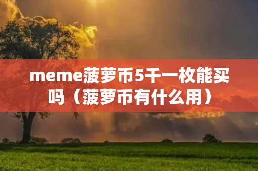 meme菠萝币5千一枚能买吗（菠萝币有什么用）