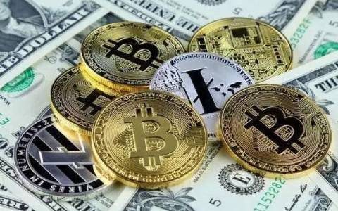 Dogecoin狗狗币交易平台 - 狗狗币价格行情,实时走势图CSPR币驱动区块链技术革伊秀潮