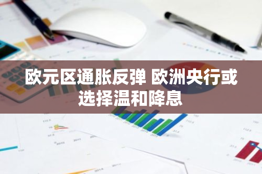 欧元区通胀反弹 欧洲央行或选择温和降息
