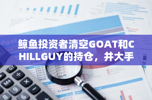 鲸鱼投资者清空GOAT和CHILLGUY的持仓，并大手笔购入142万枚WIF币