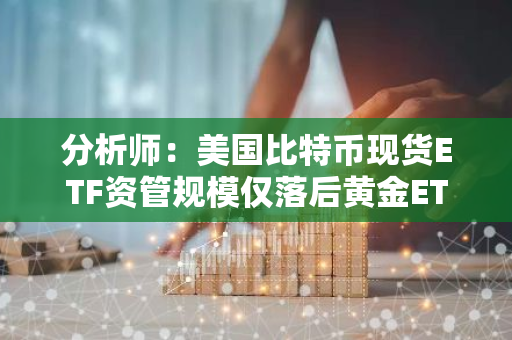分析师：美国比特币现货ETF资管规模仅落后黄金ETF 230亿美元，有望圣诞节前反超