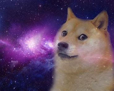 埃隆·马斯克的特斯拉添加狗狗币 (Dogecoin) 作为支付方式，狗狗币 (DOGE) 价格上涨 20%