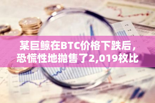 某巨鲸在BTC价格下跌后，恐慌性地抛售了2,019枚比特币