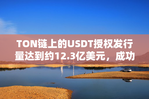 TON链上的USDT授权发行量达到约12.3亿美元，成功跻身前五强