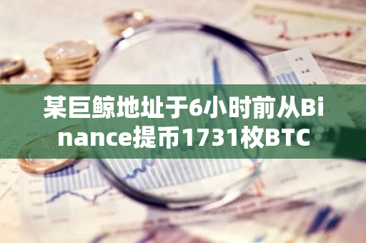 某巨鲸地址于6小时前从Binance提币1731枚BTC
