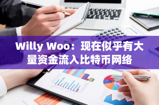 Willy Woo：现在似乎有大量资金流入比特币网络