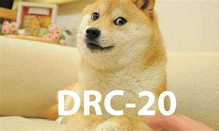 什么是 DRC 20？狗狗币上流行的铭文标准