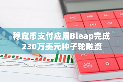 稳定币支付应用Bleap完成230万美元种子轮融资